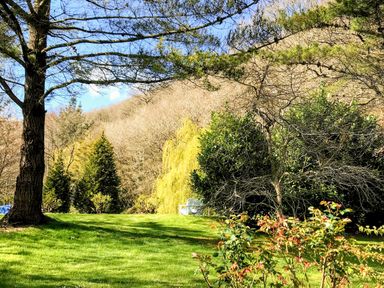 A garden with trees shrubs and a white bench at Cross Syke Barn in Loxhore near Barnstaple