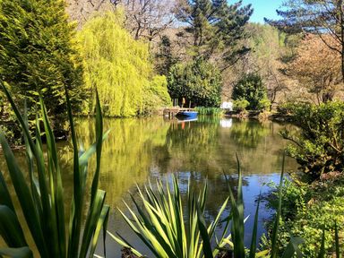 A small pond surrounded by trees and plants with a blue rowboat and a dock at Cross Syke Barn in Loxhore near Barnstaple