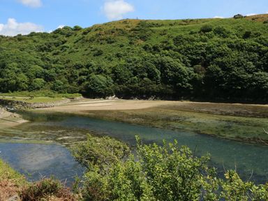 A river flowing through a valley with green hills and bushes at Harmon Vale in Solva