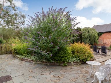 A garden patio with a central flower bed and outdoor chairs at The Nest Box in Diss