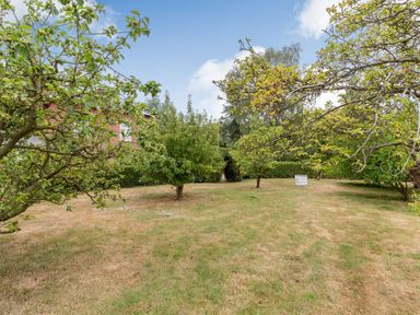 A grassy garden area with several trees and a white box near a hedge at The Nest Box in Diss