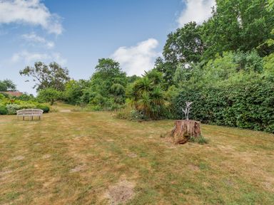 An outdoor garden area with grass a bench trees and a tree stump with a small sculpture at The Nest Box in Diss