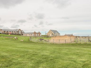 A grassy field with wooden fences and stone buildings in the background at St Dolmen in Embleton
