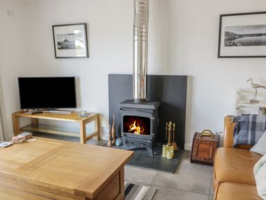 A living room with a wood-burning stove a television on a wooden stand and a leather sofa at 54 The Moorings in St Dogmaels