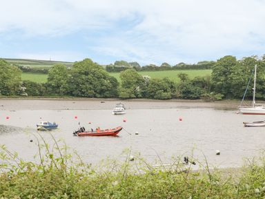 A river with boats and buoys with grass and trees on the shore at 54 The Moorings in St Dogmaels