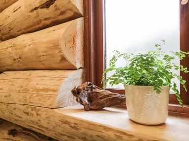 A window with a white ceramic pot with a green plant and a piece of driftwood on the wooden windowsill of a log cabin wall at Moorhen Lodge in North Kessock