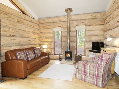 A living room with a brown leather sofa and plaid armchair near a wood stove in a log cabin at Moorhen Lodge in North Kessock