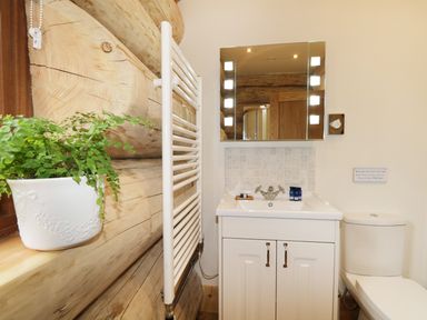 A bathroom with a white sink and cabinet a toilet a mirror with lights a white heated towel rail a potted plant on the windowsill at Moorhen Lodge in North Kessock