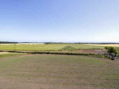 An open field with green crops and a clear blue sky at St  Cruz in Embleton