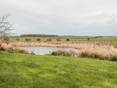 A small pond surrounded by reeds and grass with fields and a cloudy sky in the background at St Cruz in Embleton