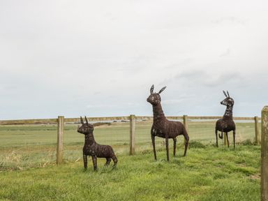 Three animal sculptures made of woven material in a grassy field with a wooden fence and open landscape in the background at St Cruz in Embleton