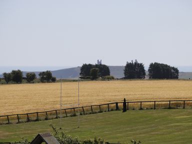 A grassy field with rugby goalposts and a wooden fence with a golden field and trees in the background at Newton View in Embleton