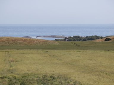 A coastal landscape with fields trees and a rocky shoreline at Newton View in Embleton