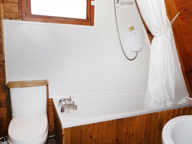 A bathroom with a toilet bathtub shower and wooden paneling at Apple Tree Lodge in Gillingham