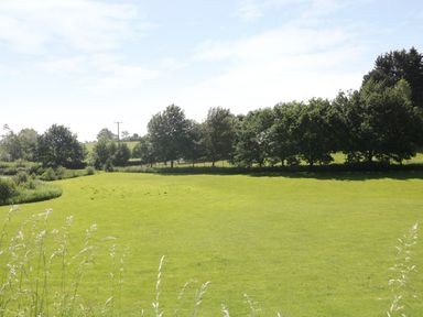 A grassy field with trees along the edge under a blue sky at Apple Tree Lodge in Gillingham