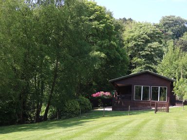 A wooden cabin with large windows next to a lawn and surrounded by trees at Kipling Lodge in Rudyard
