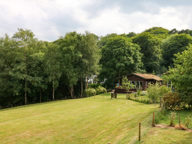 A grassy yard with a wooden fence and a cabin surrounded by trees at Kipling Lodge in Rudyard