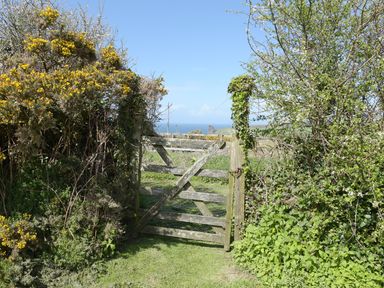 A wooden garden gate surrounded by bushes and plants with a view of the ocean in the background at Threshings Cottage in Tintagel