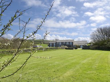 A green lawn with blossoming branches in front of a stone house under a blue sky at Threshings Cottage in Tintagel