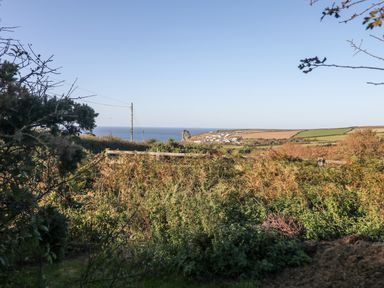 A coastal landscape with bushes and fields overlooking the sea at Threshings Cottage in Tintagel