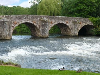 A stone arch bridge over a river with water flowing and ducks on the grassy riverbank at Fig Tree Cottage in Bickleigh