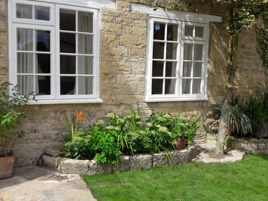 A garden bed with green plants and flowers in front of two white framed windows on a stone wall at Tick Tock Cottage in Marnhull