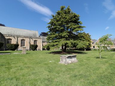 An outdoor scene with a large tree surrounded by grass stone monuments and stone buildings at The Olde Stables in Warkworth