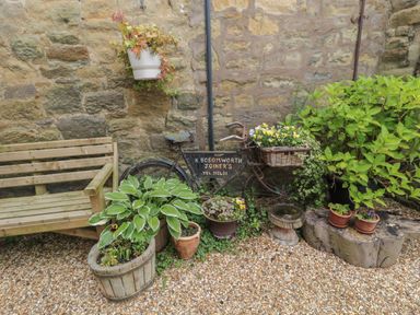 A garden corner with a wooden bench plants in pots a hanging planter and a decorative bicycle with flowers at The Olde Stables in Warkworth