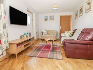 A living room with a brown leather sofa, a patterned armchair, a wooden coffee table, a plaid rug, a wooden TV stand, and a wall-mounted television at The Stable at Church Farm House Limpenhoe near Reedham