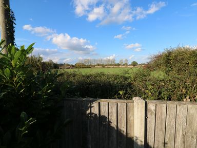 A view of a field with trees behind a wooden fence and bushes at 27 Whitegates in Ludham