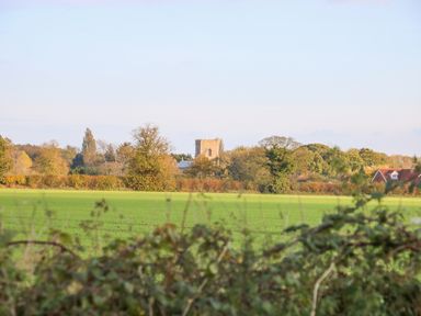 A rural field with trees and a church tower in the background at 27 Whitegates Ludham