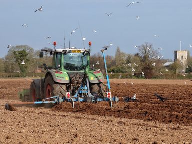 A tractor plowing a field with birds flying around at 27 Whitegates in Ludham
