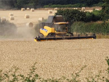 A combine harvester working in a wheat field with hay bales in the background at 27 Whitegates in Ludham