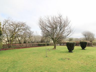 A garden with grass a few leafless trees and bushes at Blaenywawr Annexe in Lampeter