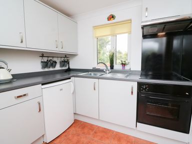 A kitchen with white cabinets a black oven a small refrigerator a kettle and utensils hanging under the cabinets at Blaenywawr Annexe in Lampeter
