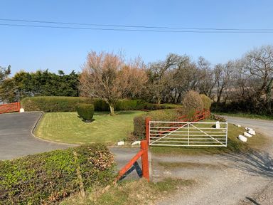 A driveway entrance with a white metal gate and trimmed hedges and trees at Blaenywawr in Lampeter