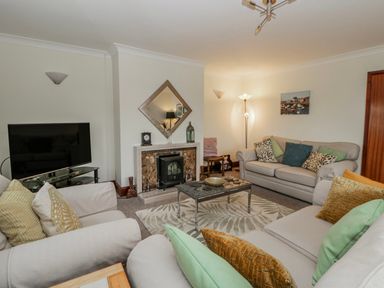 A living room with a television and fireplace at Blaenywawr near Lampeter