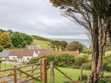 A rural landscape with white cottages green fields trees and a wooden gate at Partridge Cottage in Ilfracombe