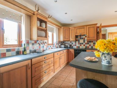 A kitchen with wooden cabinets and multicolor tiled backsplash a counter with a vase of yellow flowers and plate of cookies at Blaen Henllan in Builth Wells