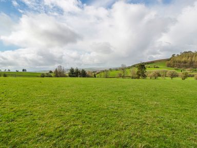 A grassy field with scattered trees under a cloudy sky at Blaen Henllan in Builth Wells