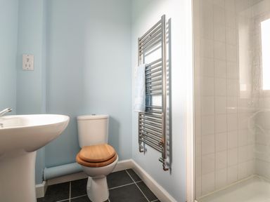 A bathroom with a toilet with wooden seat a sink a towel rail with a towel and a tiled shower at Blaen Henllan in Builth Wells