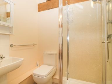 A bathroom with a toilet sink and glass door shower at Timber Barn in Eardisland