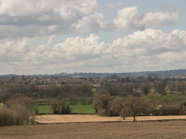 A rural landscape with fields trees and houses under a cloudy sky at Timber Barn in Eardisland