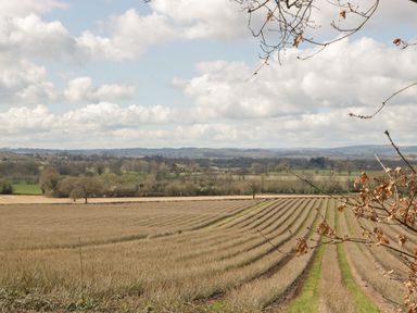 A field with rows of crops and distant trees under a cloudy sky at Timber Barn in Eardisland