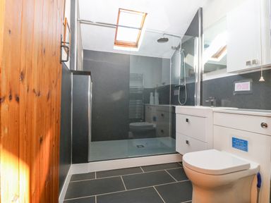A bathroom with a toilet, vanity, large mirror, glass-enclosed shower, and skylight at Hendre in Y Felinheli