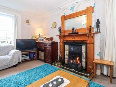 A living room with a burning fireplace a television on a stand a wooden cabinet a blue rug and a sofa at Castle Lodge in Borrowdale