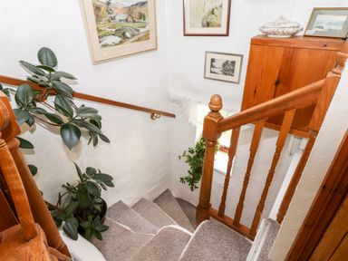 A carpeted staircase with wooden handrails and framed pictures on the walls at Castle Lodge in Borrowdale