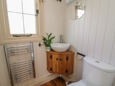 A bathroom with a toilet a wooden corner cabinet with a sink a plant and a towel rack at Shepherd's View in Rhayader