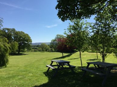 A grassy outdoor area with picnic tables and trees under a clear sky at Geltsdale East Wing in Wetheral