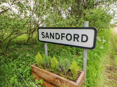 A street sign with sandford written on it surrounded by greenery and plants
